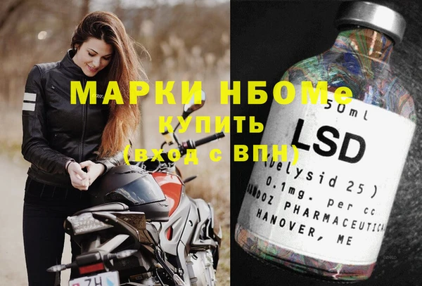 шишки Ладушкин