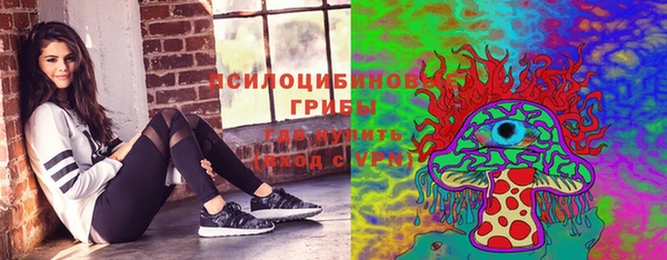 шишки Липки