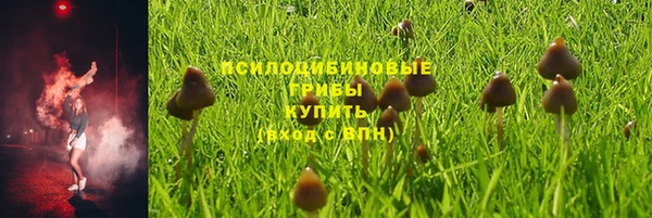 шишки Липки