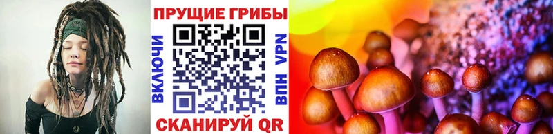 Галлюциногенные грибы GOLDEN TEACHER  Купить где  Плёс 