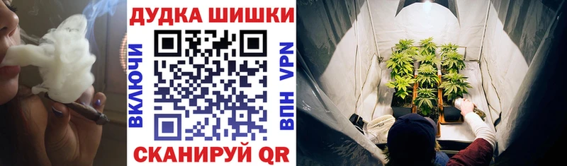 Купить  Плёс  Бошки марихуана AK-47 